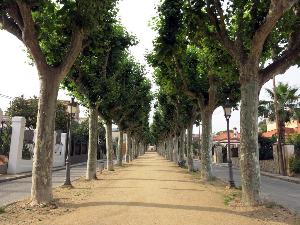 Canet Beach Canet De Mar Exterior foto